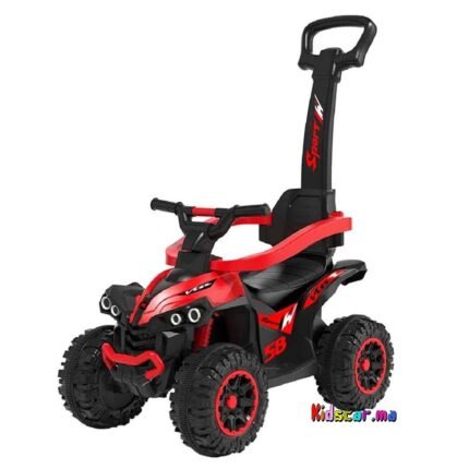 Voiture à Pousser 3 en 1 - Porteur Bébé - 921