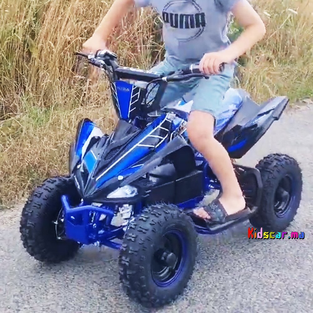 ATV Orion 36V1000watts (4)